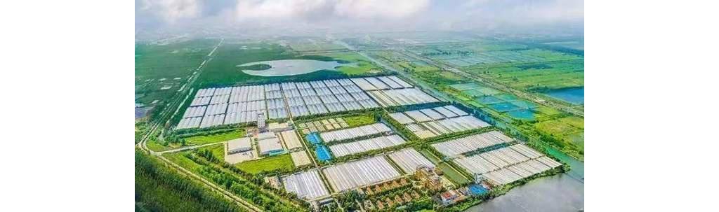 5G、手機、鴻蒙外，華為有一條低調(diào)硬核賽道，3年做到環(huán)球第一