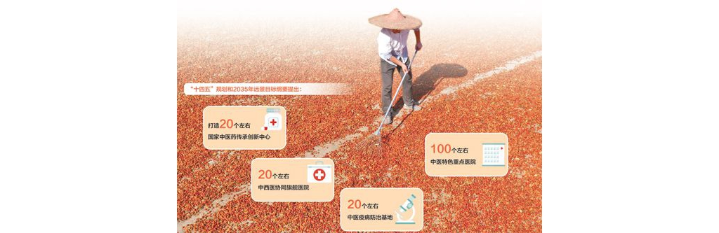 推進中醫(yī)藥高質(zhì)量成長（國民政協(xié)新實踐）
